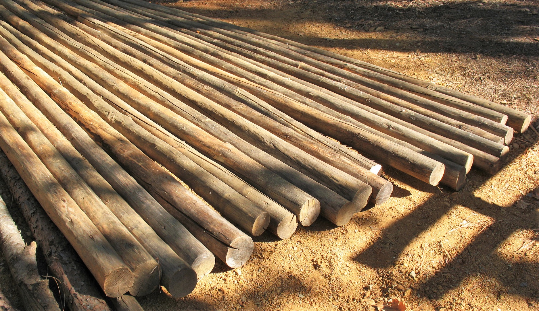 Bush Craft Shelter