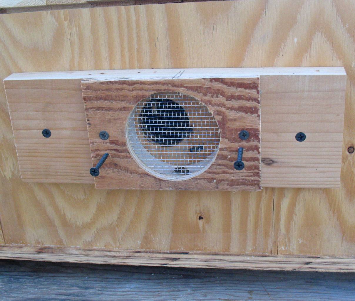 Top Bar Bee Hive door