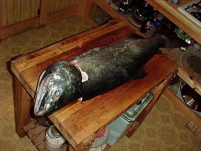 salmon on chopping block