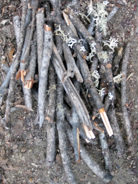 larger sticks