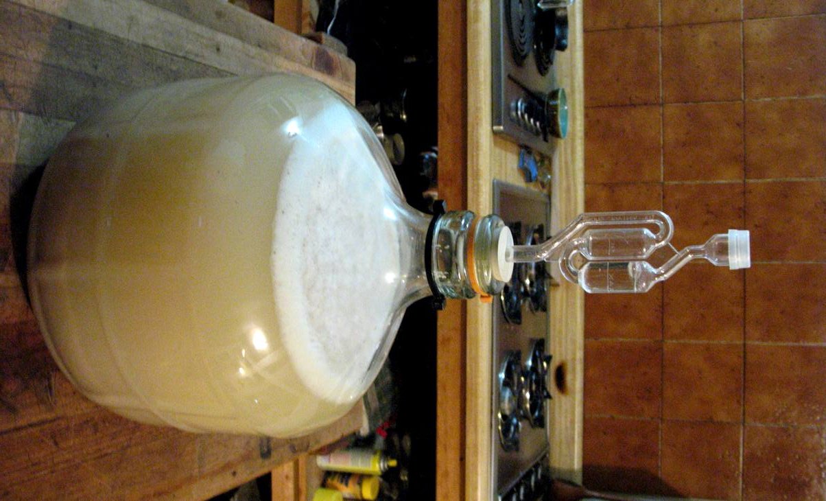 Beer7