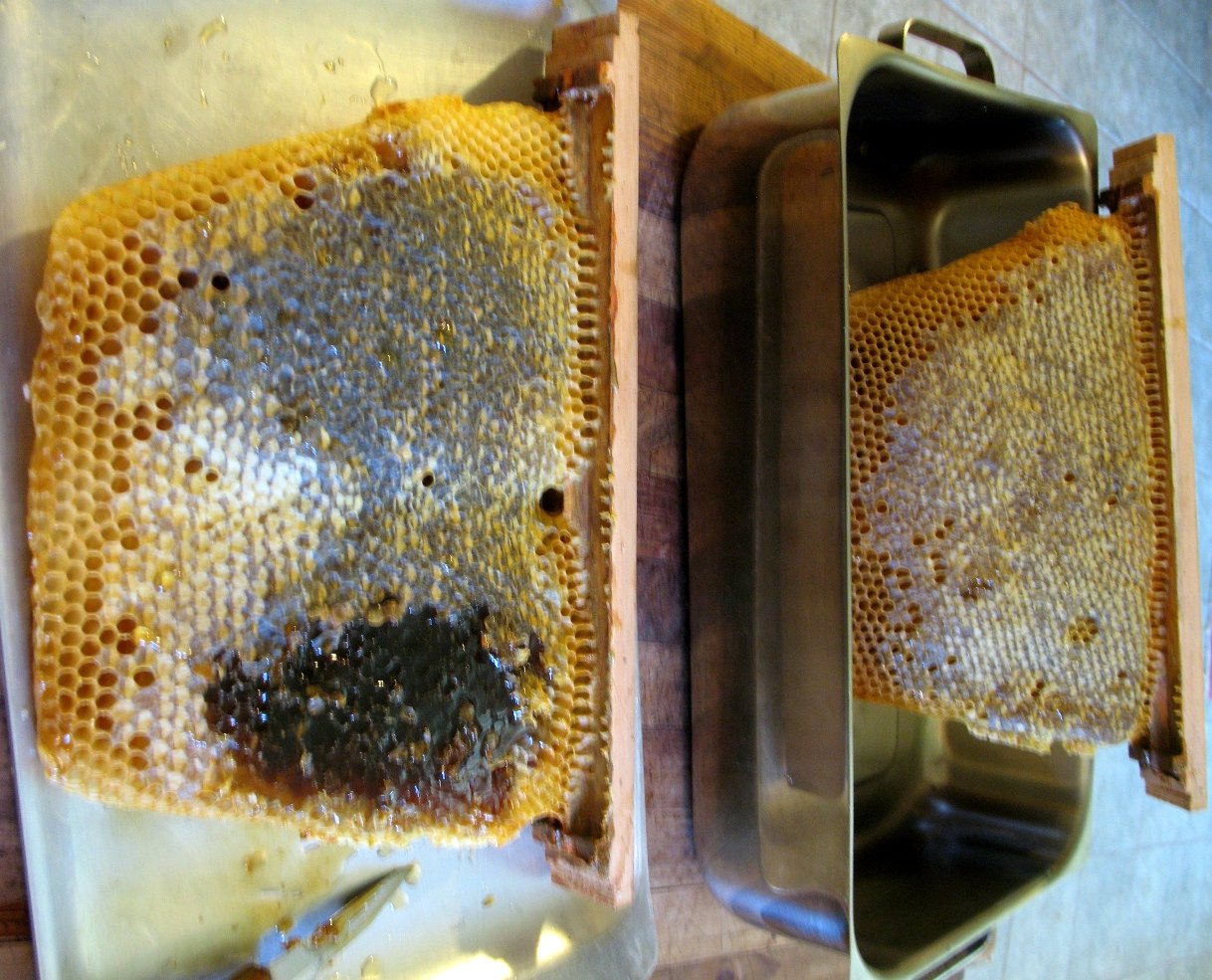honey