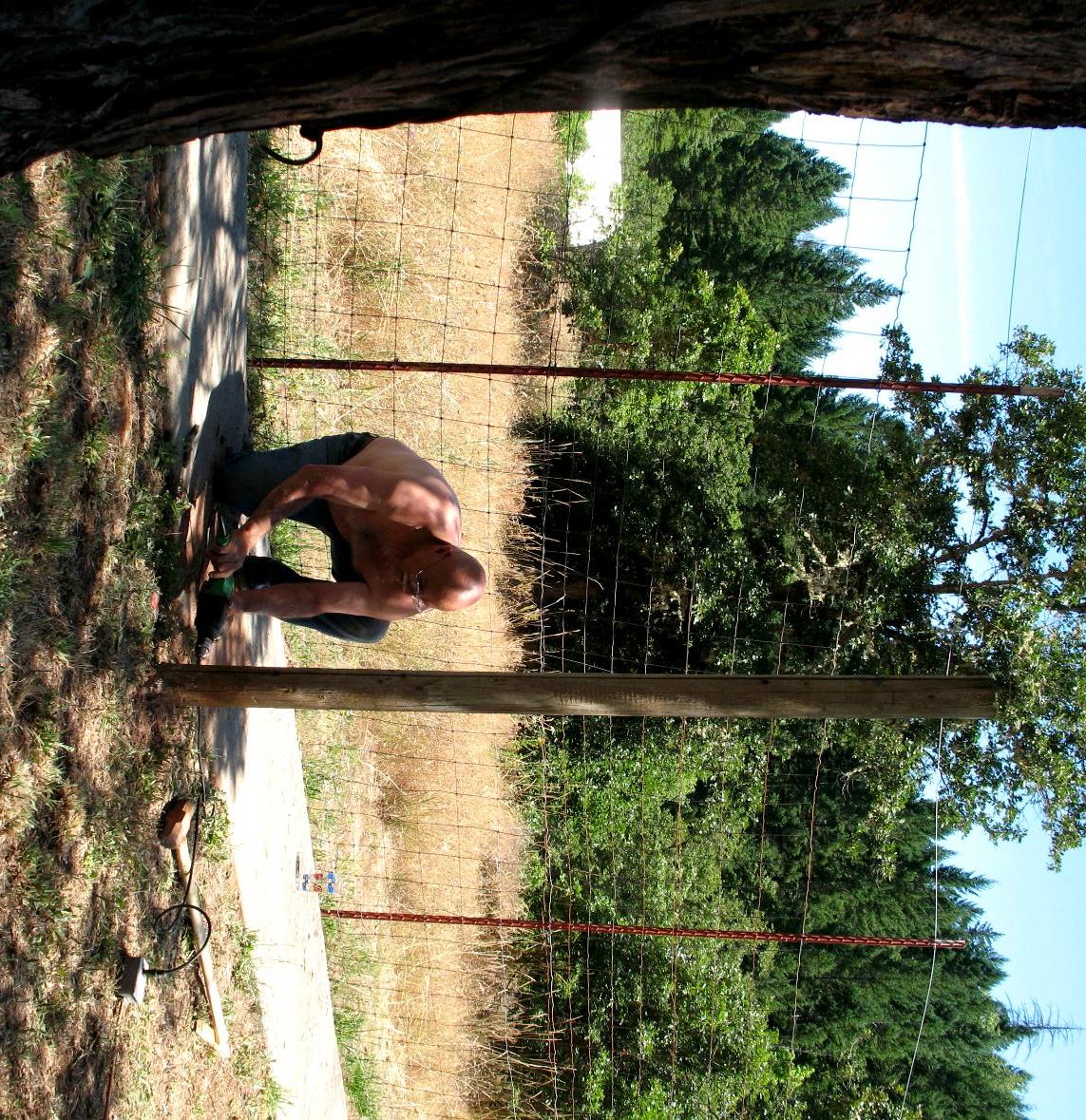 apiary