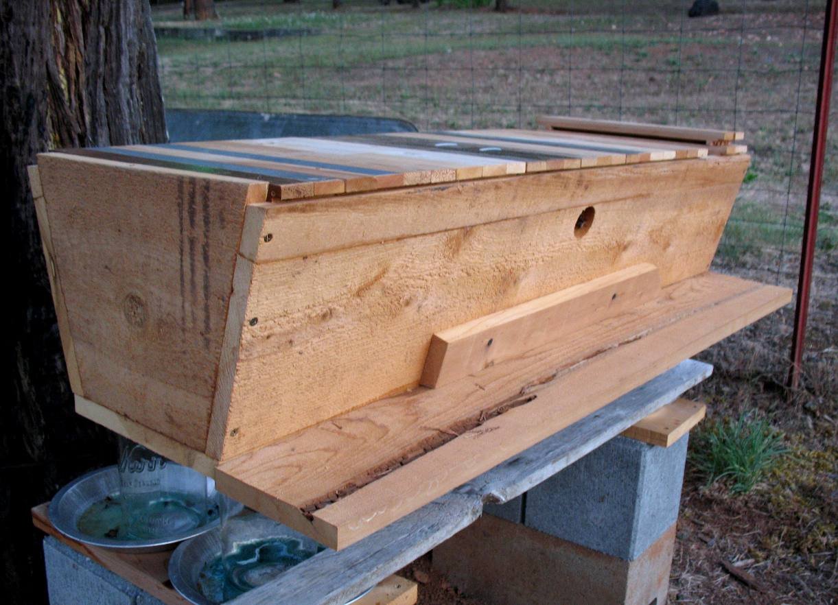 Top Bar Hive