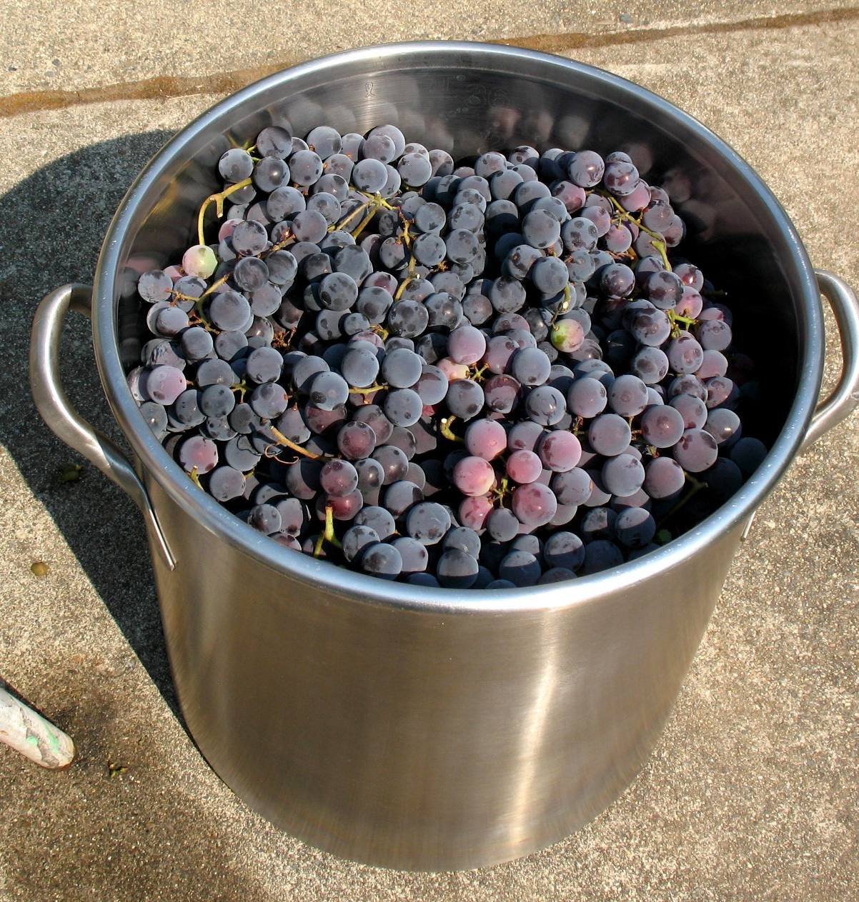 Grapes