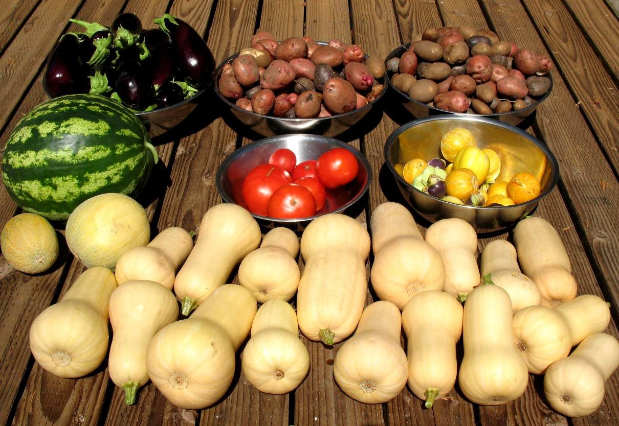 Veggies