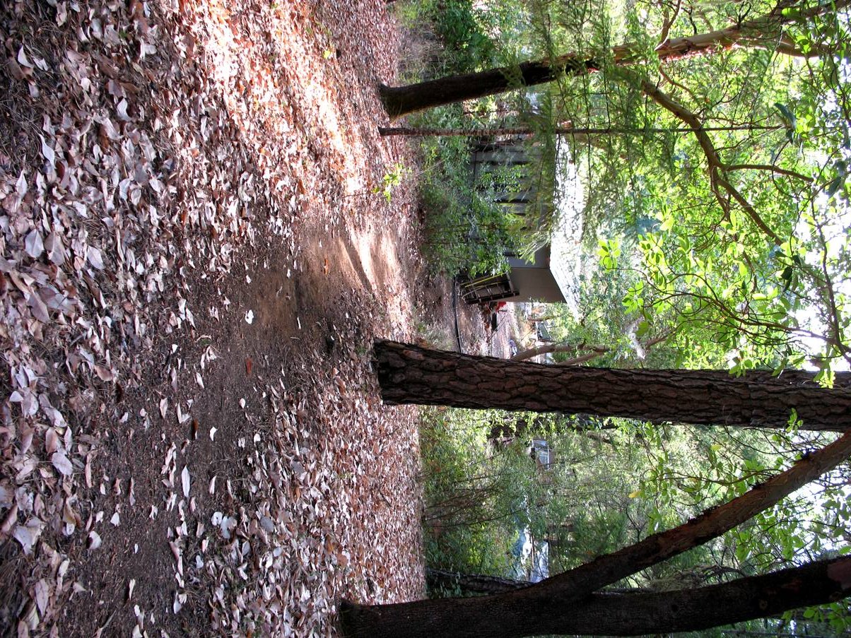 pathway