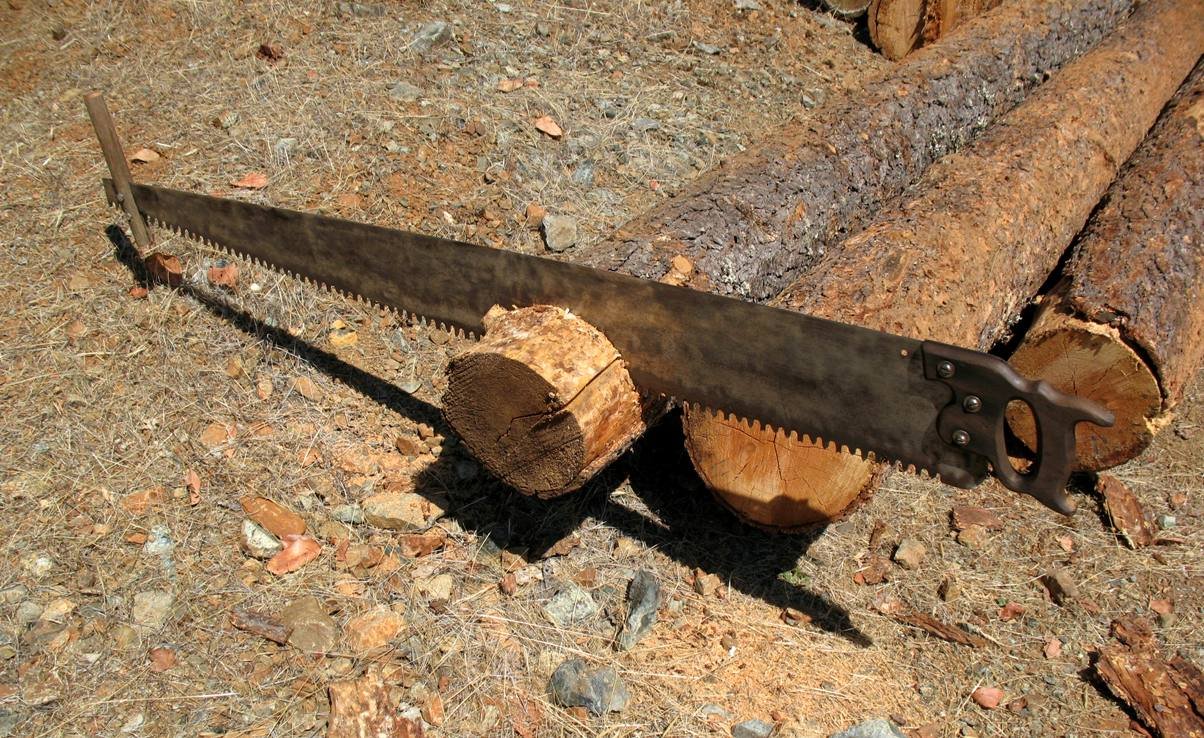 saw