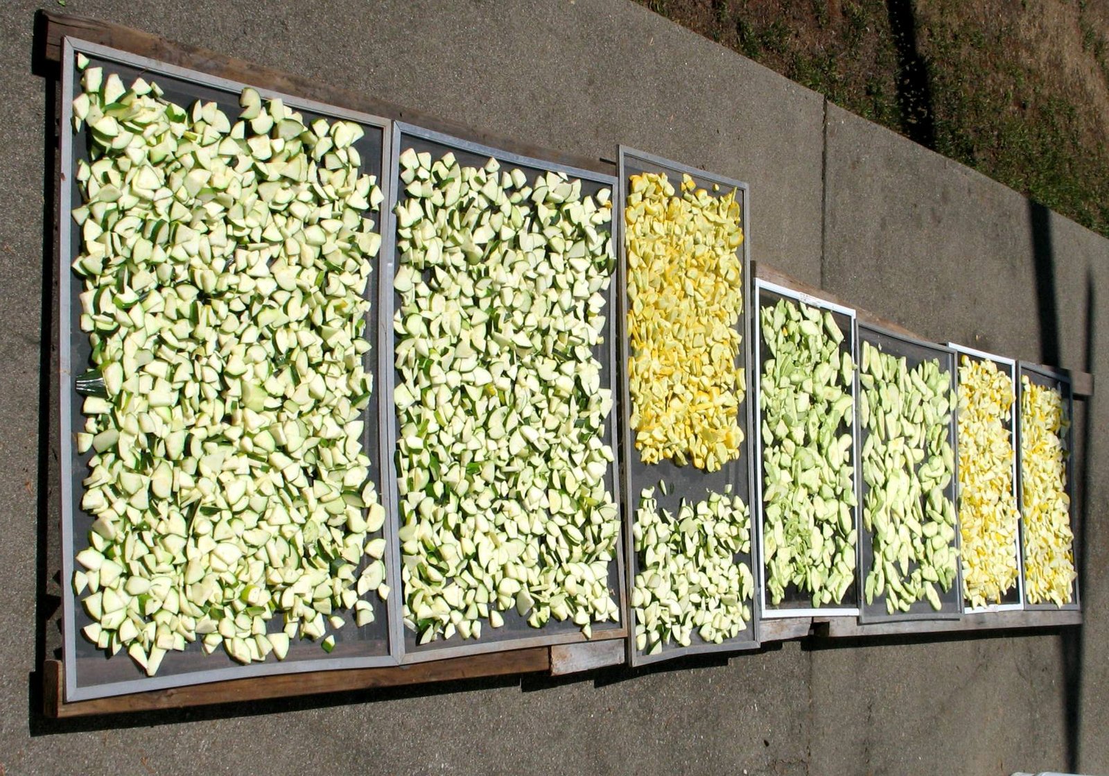 Vegies